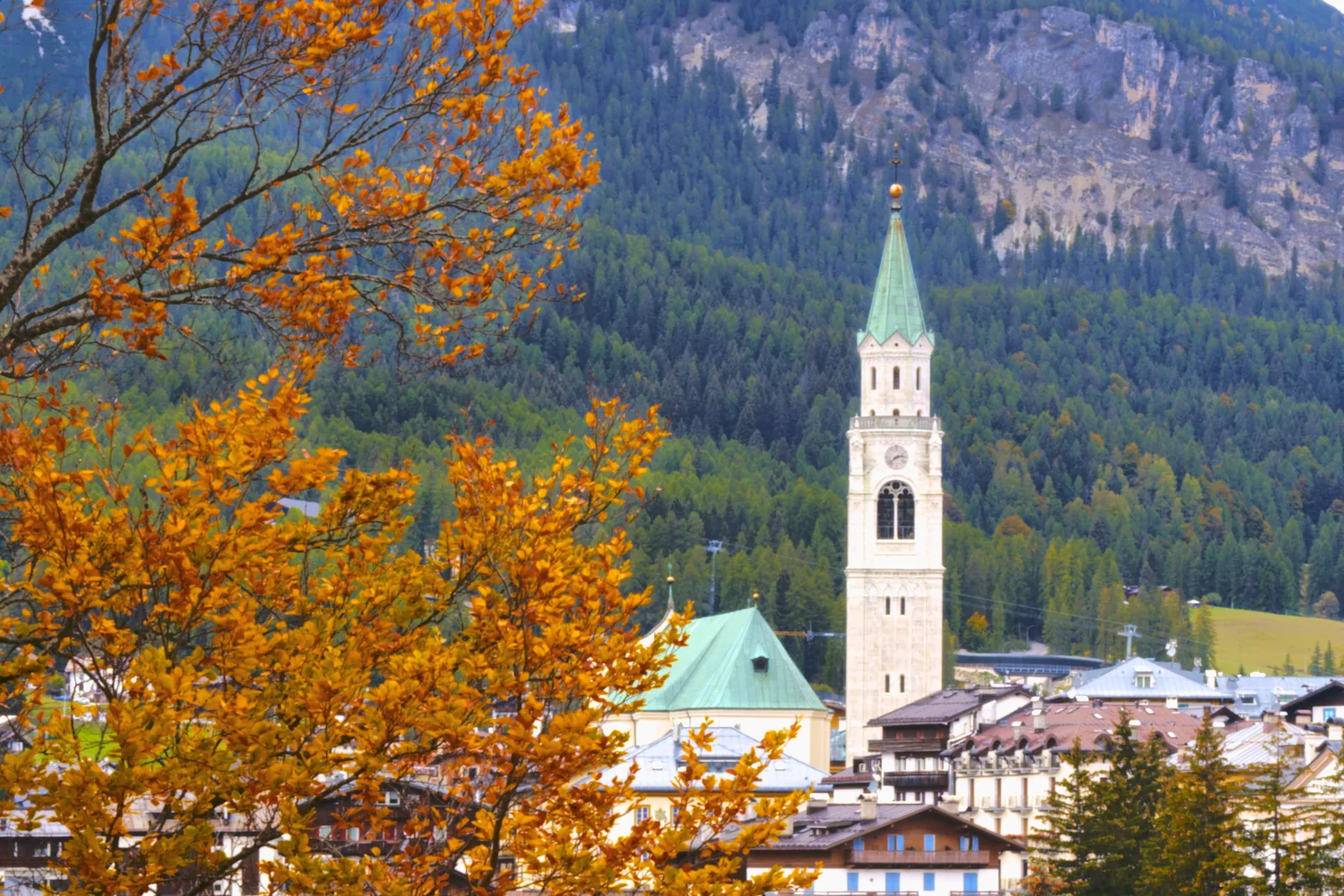 The basilica and its bell tower in Cortina, framed by a branch of rosehips